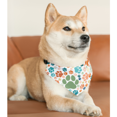 Pet Bandana Collar in choice of 8 color combos Fastens like a collar with a black buckle 4 sizes available - image2